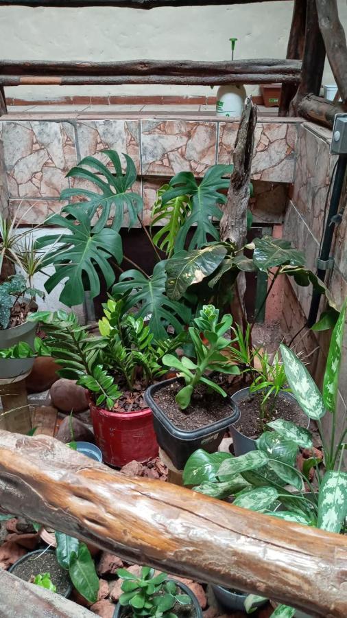 Hostel Casa Latina Lencois Εξωτερικό φωτογραφία