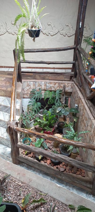 Hostel Casa Latina Lencois Εξωτερικό φωτογραφία